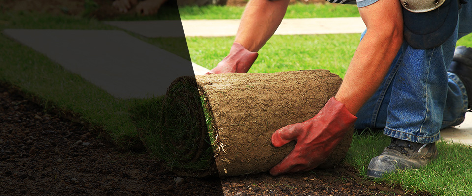 Glenford Landscapers